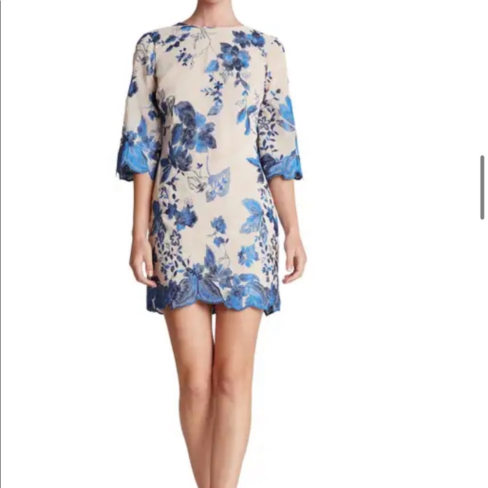 Paige' Metallic Embroidered Chiffon Shift Dress